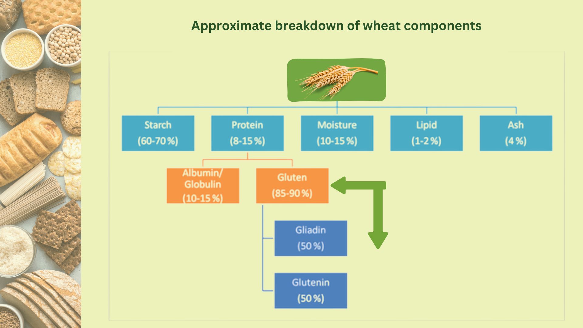 Benfits of emmer/khapli wheat
